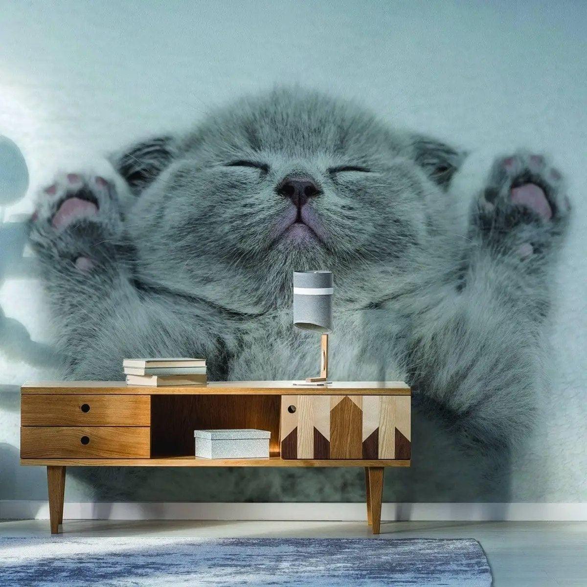Gray kitten wall sticker featuring an adorable sleeping cat with paws up.