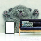 Gray kitten wall sticker on living room wall, featuring a cute kitten with paws raised, adding charm to home decor.