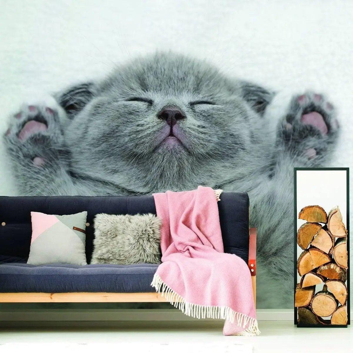 Gray kitten wall sticker featuring an adorable sleeping cat.