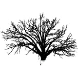 Black silhouette of a tree with intricate branches.