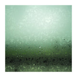 Frosted Film Wow Sticker showing intricate floral pattern on a frosted window vinyl decal.