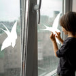 Child applying anti-collision bird decals on a rainy window to prevent bird strikes.