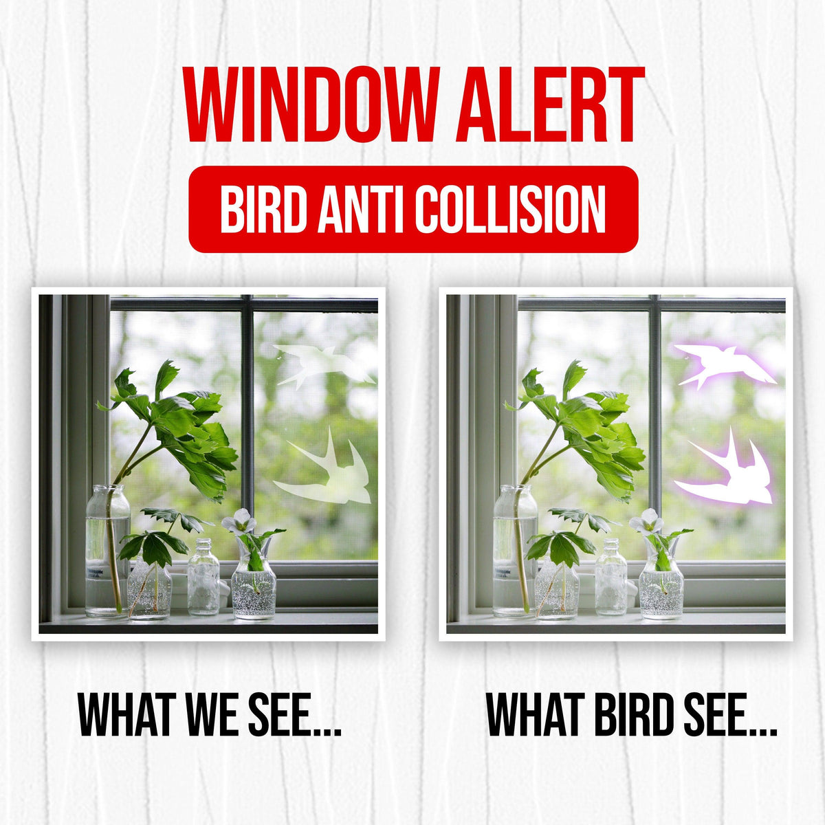 Window view showing bird anti-collision decals; comparison of human perspective vs. bird perspective.